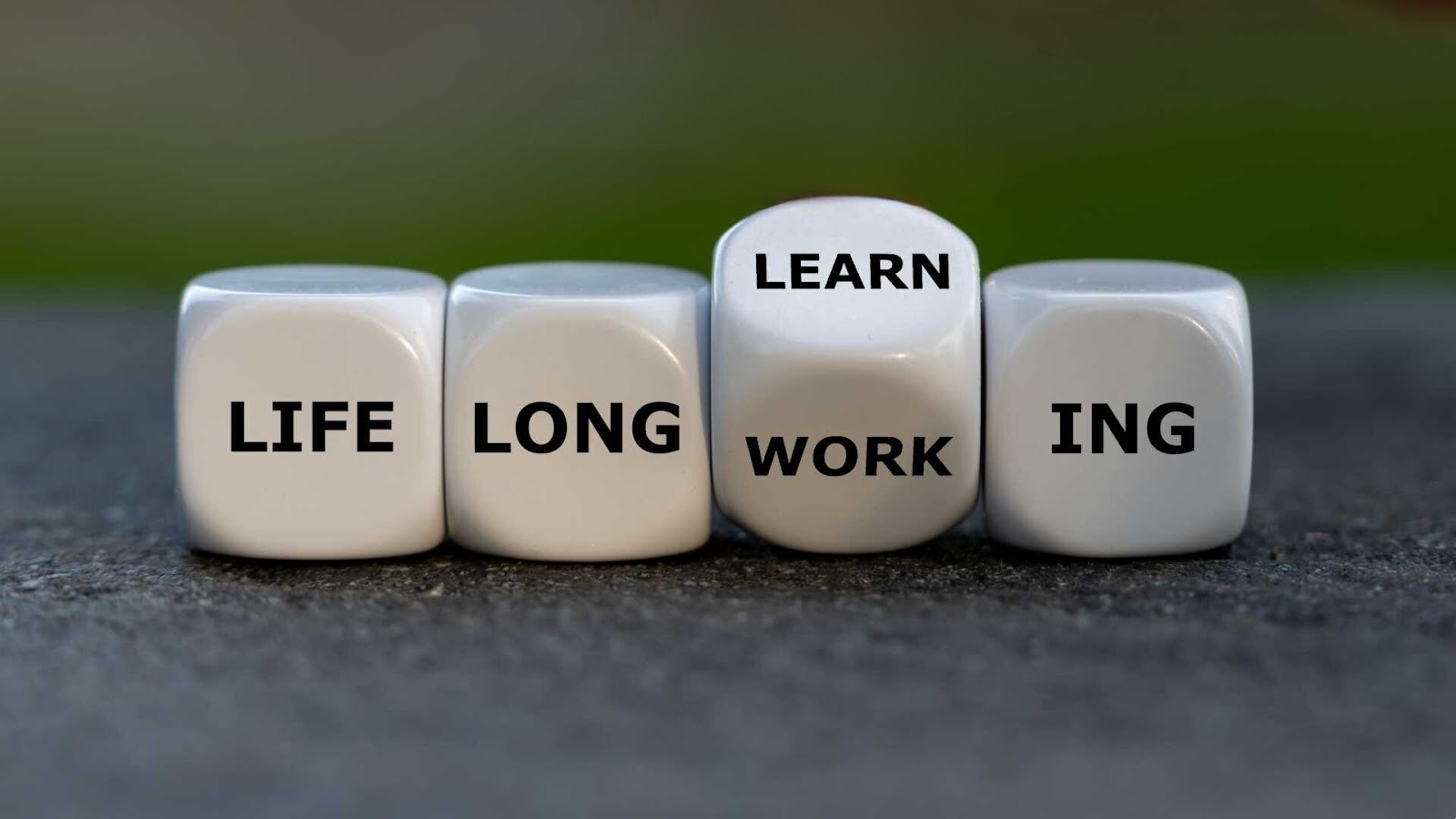 تعادل میان رشد و پایداری